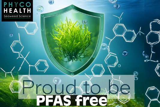 Ensuring the Safety of Our Seaweed: PFAS-Free and Proud