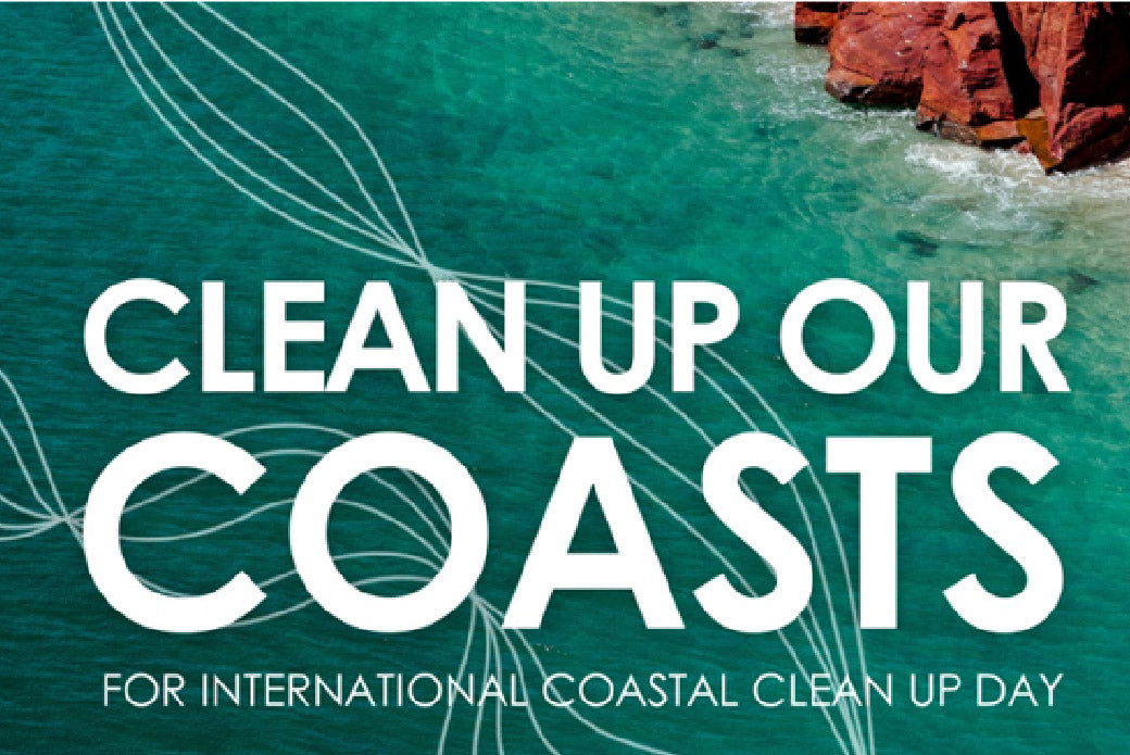 International Coastal Clean Up Day: Reshaping a Chemical Legacy